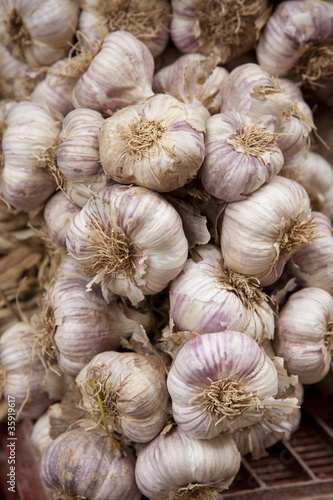 Fresh Garlics for Sale on Market Stall