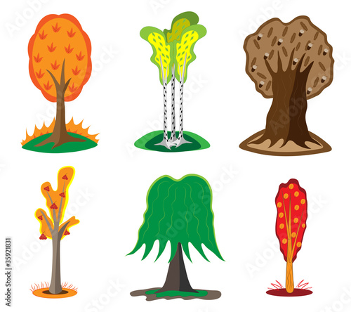 Autumn trees.