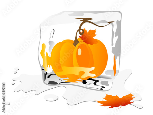 Frozen pumpkin in ice cube
