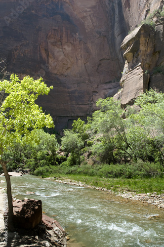 The Virgin River in Zion National Park in Utah USA