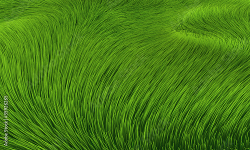 Wind im Gras - Hintergrund