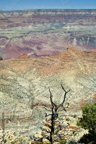 View over Grand Canyon Arizona USA