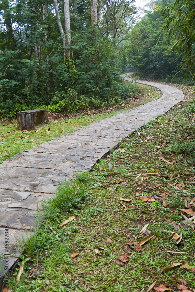 Dirty rural forest road Dirty rural forest road