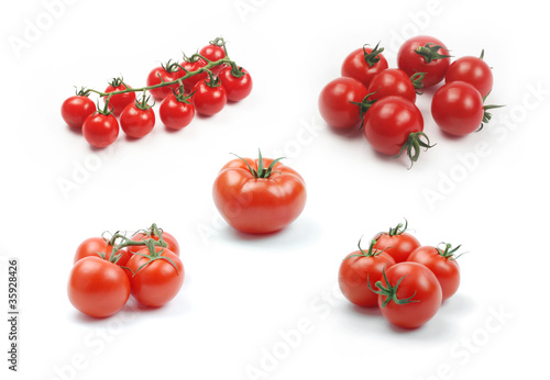 Collection of tomatoes on white background