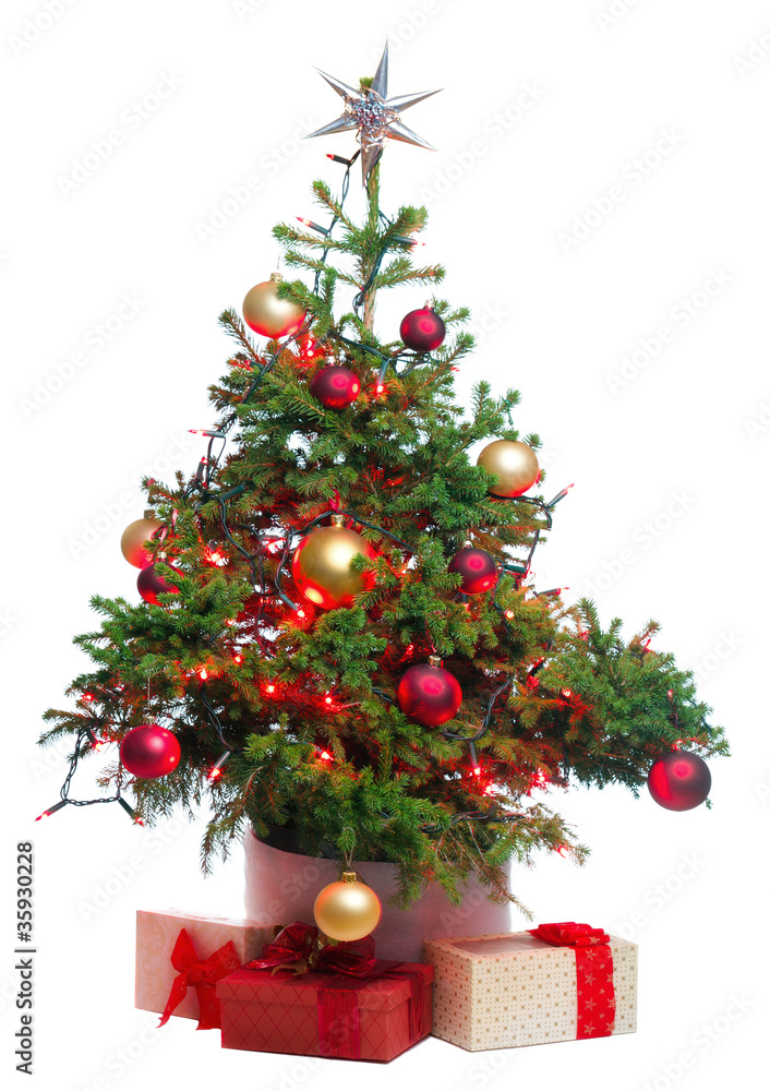 Christmas tree Christmas tree