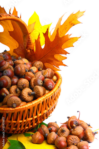Beautiful wicker basket full of acorns, chestnuts and cones
