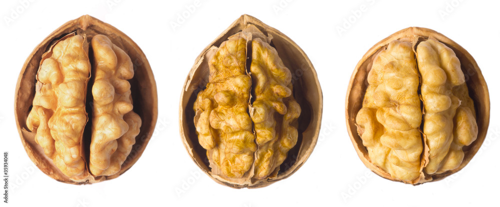 close up of walnuts on white close up of walnuts on white