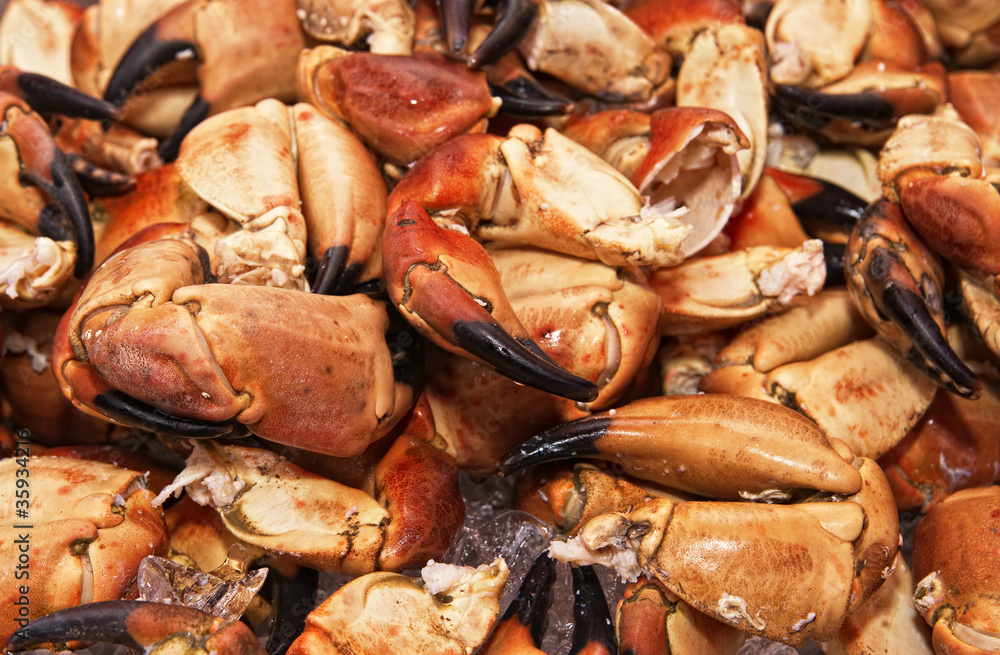 Claws of a huge crab. The fish market. Bergen. Norway. Claws of a huge crab. The fish market. Bergen. Norway.