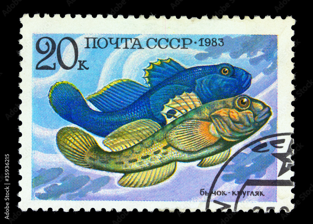 Naklejka premium USSR - CIRCA 1983