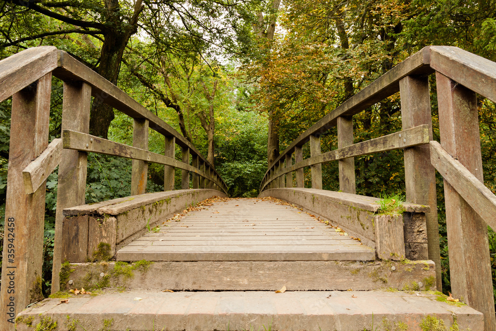 Wooden Bridge