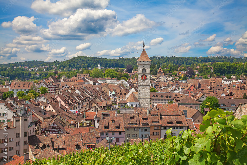 Fototapeta premium Summer in Schaffhausen