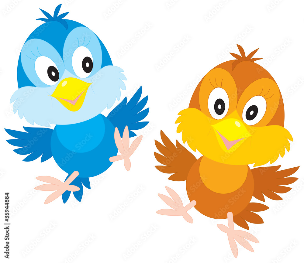 Fototapeta premium Pisklęta