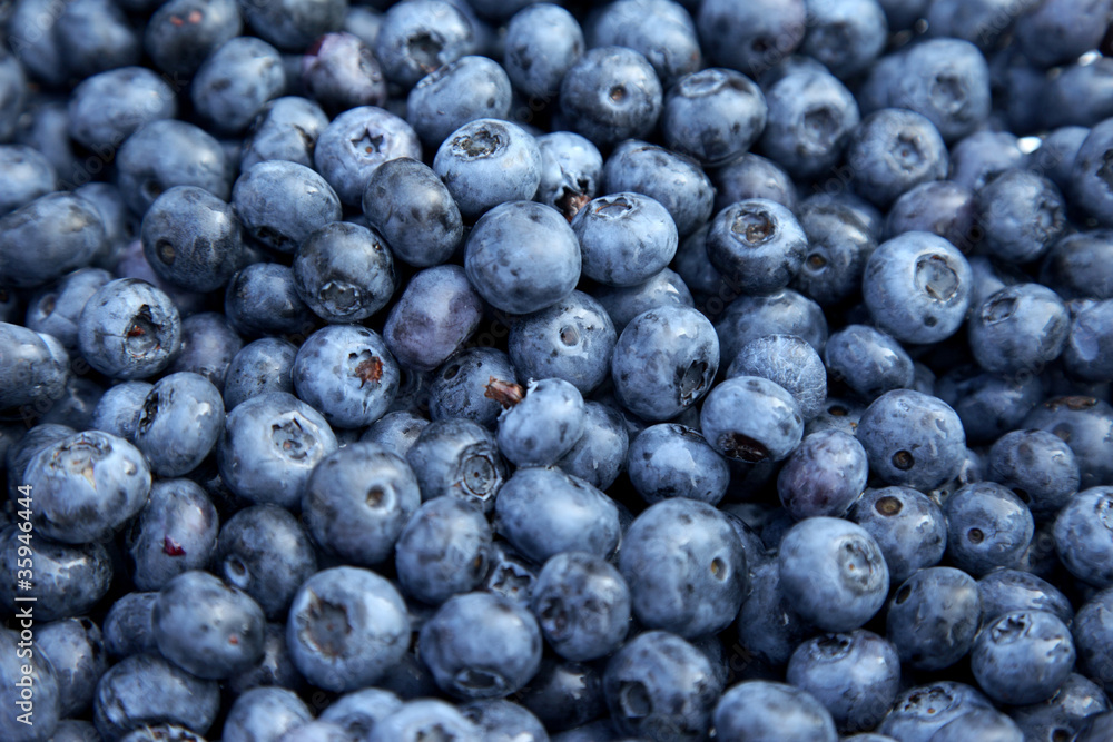 Blueberry background. Shallow DOF Blueberry background. Shallow DOF