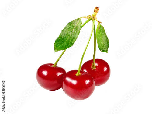 Cherry on white background