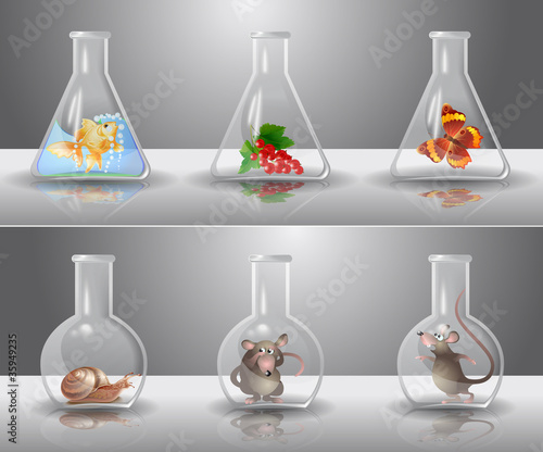 Laboratory flasks with different living organisms inside
