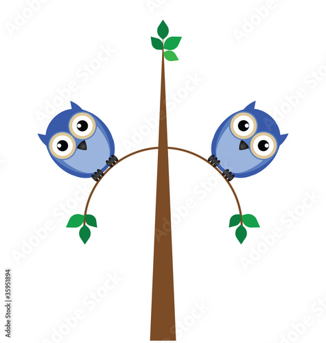 Two overweight owls sat on a thin tree