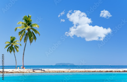 Palm trees on tropical island at ocean. © Konstantin Kulikov