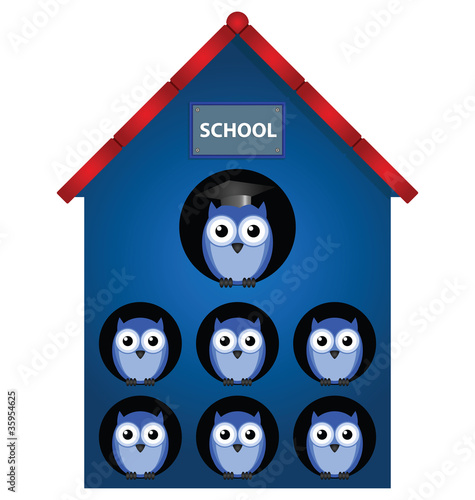Owl teacher and owl pupils in school