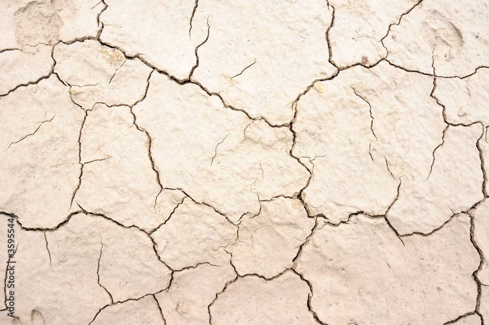 Cracked earth Cracked earth