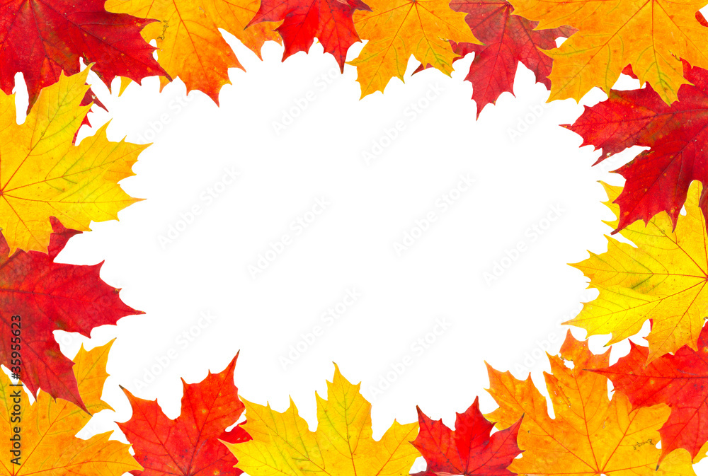 Autumn leaves frame Autumn leaves frame