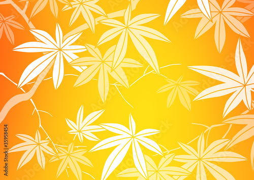 グラフィックパターン