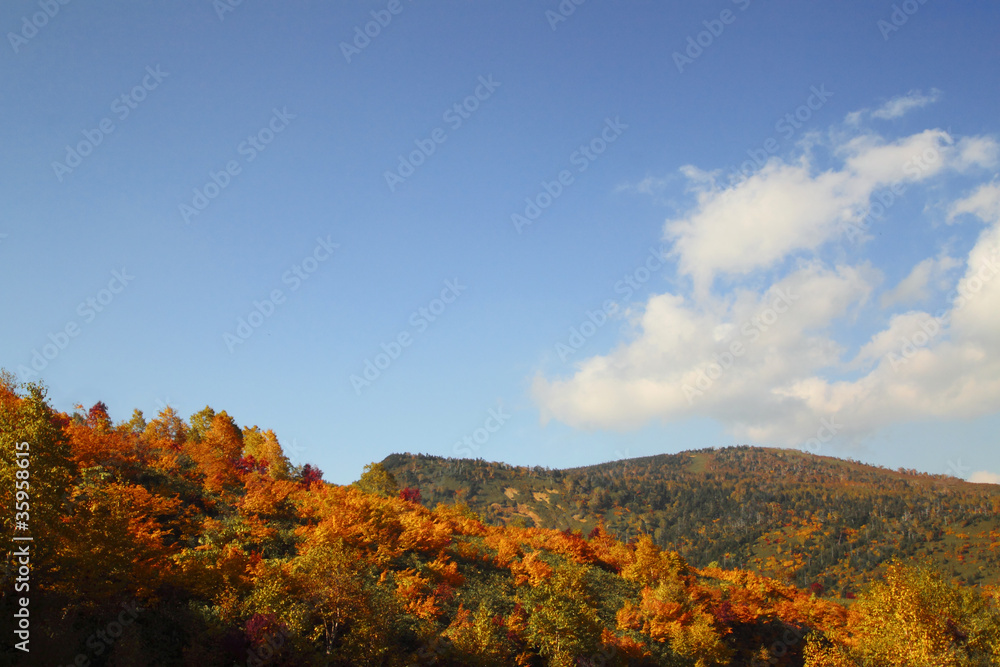 八幡平の紅葉