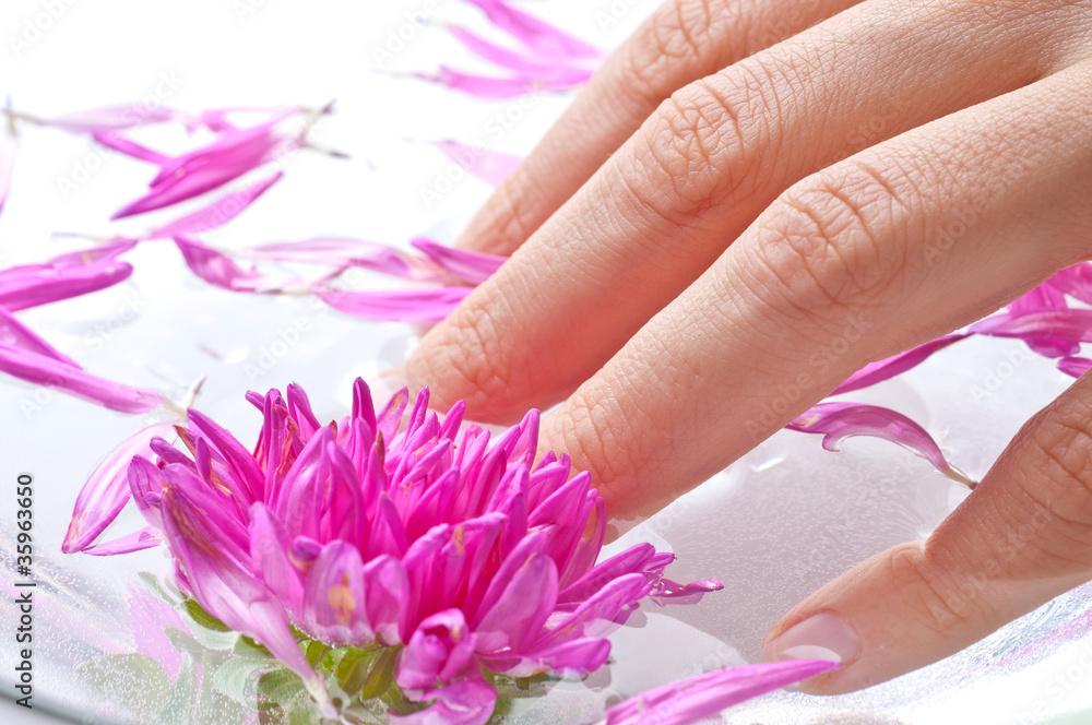 Fototapeta premium manicre treatment at the wellness salon