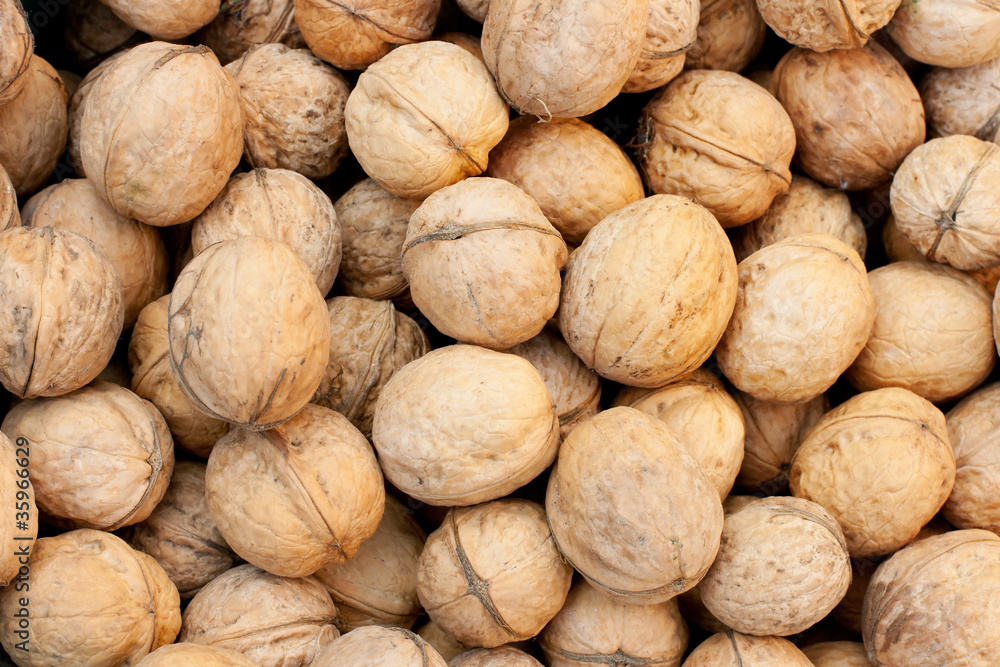 closeup of a walnuts closeup of a walnuts