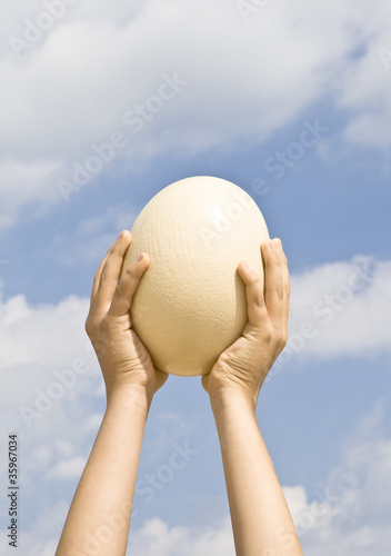 The egg of an ostrich on the background of the sky.
