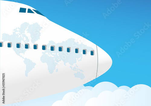 Airplane flies in the sky