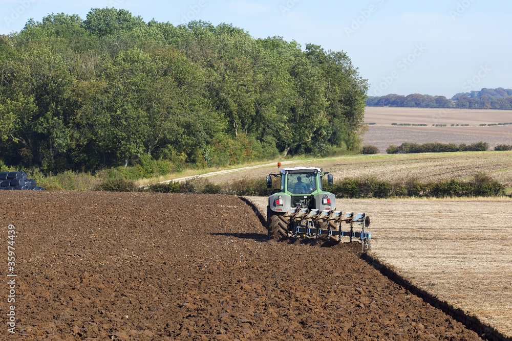 Fototapeta premium agricultural scene