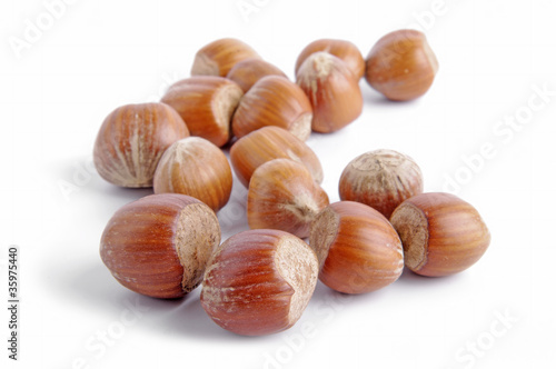 Composition from nuts on the white isolated background