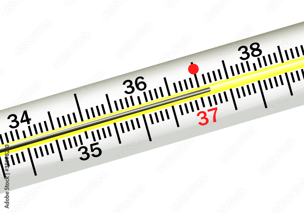 thermometer thermometer
