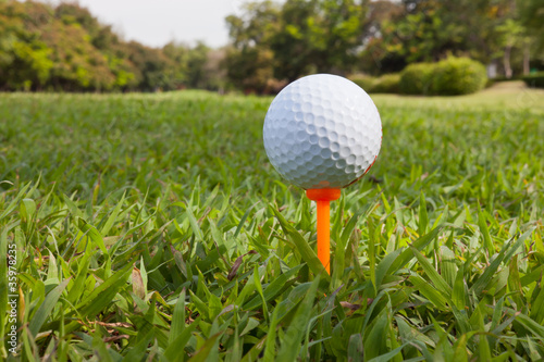 Golf ball on an orange tee