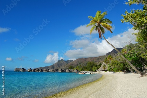 moorea - polinesia francese