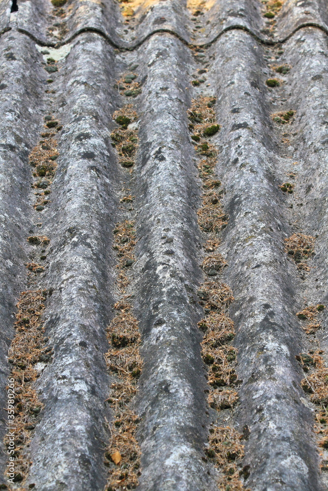 Obraz premium Asbest-39988b1