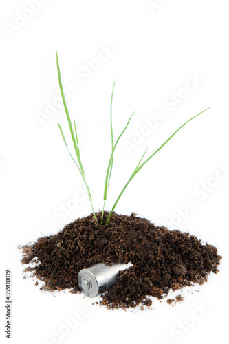 plant in the soil and battery