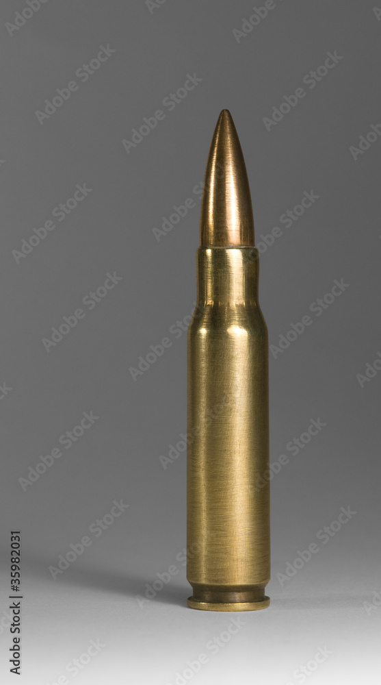 upright metallic ammunition in grey back upright metallic ammunition in grey back
