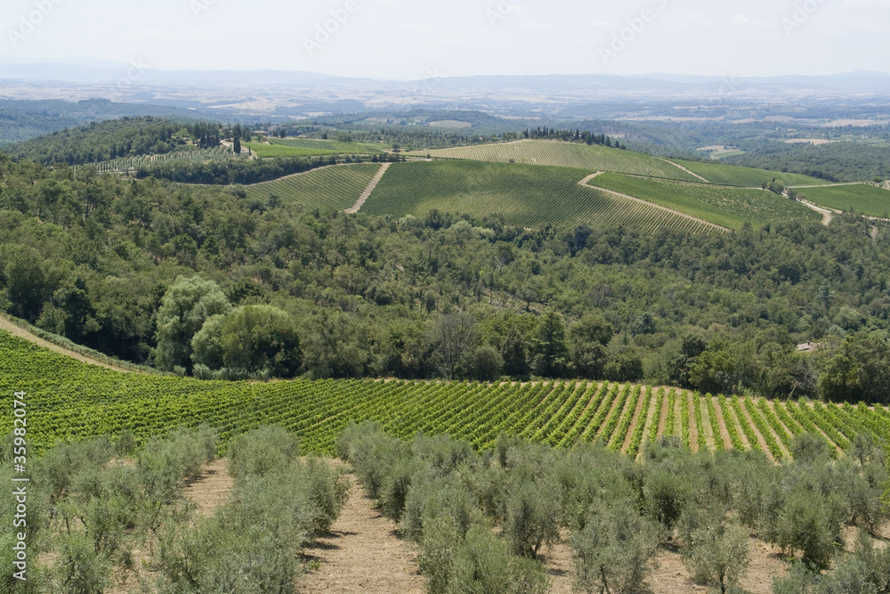 Chianti in Tuscany