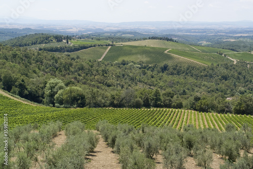 Chianti in Tuscany photo