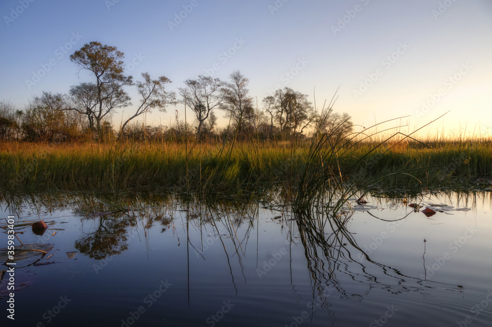 Okavango Delta - Botsuana / Botswana - Africa