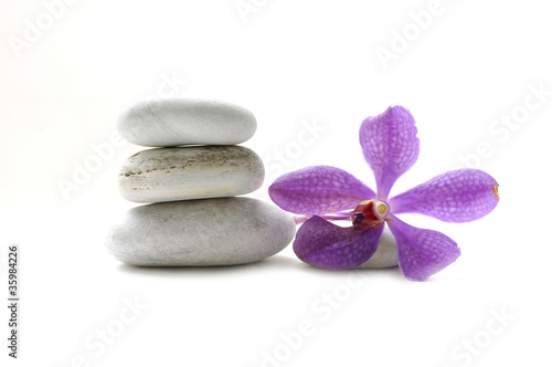 purple orchid and stacked of stones