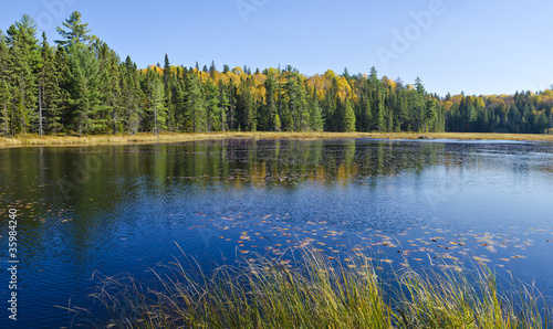 Fall Colors in Algonquin Park Ontario