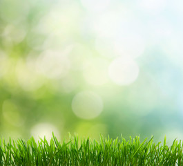 spring background