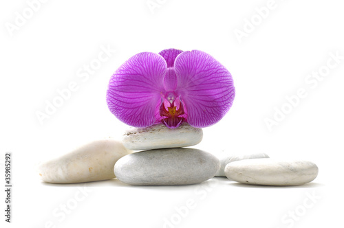 Still life with macro of pink orchid with stones