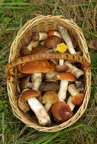 mushrooms