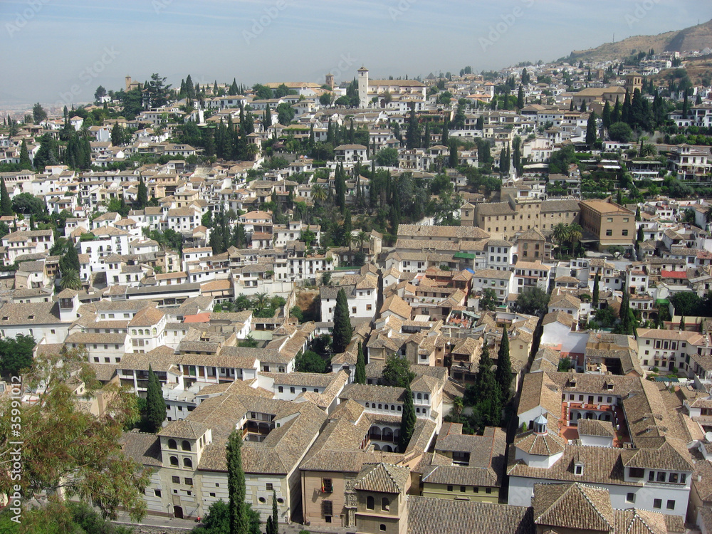 panomara of a city with roofs seen from above