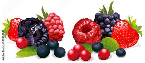 berries isolated photo