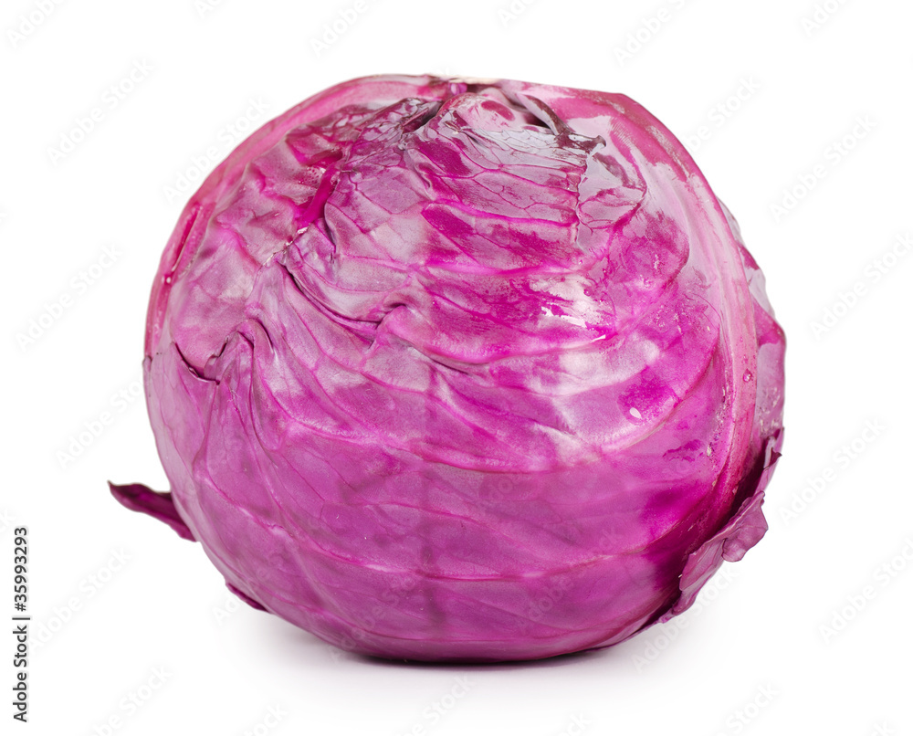 The red cabbage isolated The red cabbage isolated