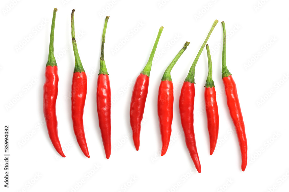 Red hot chili pepper isolated on a white background Red hot chili pepper isolated on a white background